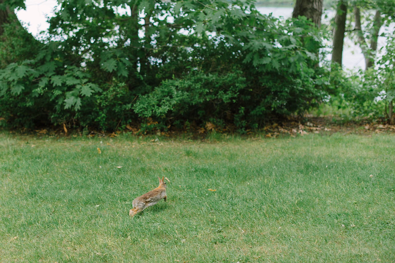 Wellesley College family wedding photo session 35